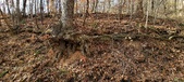 Enlarge photo 173