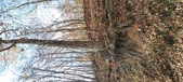 Enlarge photo 172