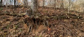 Enlarge photo 171