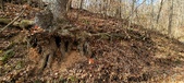 Enlarge photo 170