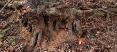Enlarge photo 174