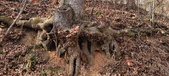 Enlarge photo 175