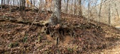 Enlarge photo 176