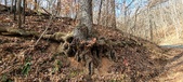 Enlarge photo 177