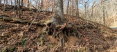 Enlarge photo 181
