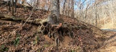 Enlarge photo 180