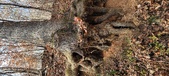 Enlarge photo 179