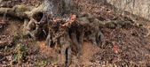 Enlarge photo 182