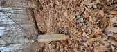 Enlarge photo 183
