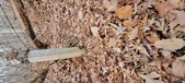 Enlarge photo 184