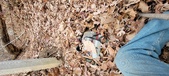 Enlarge photo 189