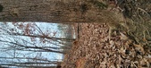 Enlarge photo 188