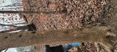 Enlarge photo 186