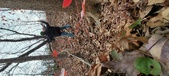 Enlarge photo 190
