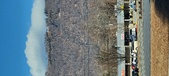 Enlarge photo 194
