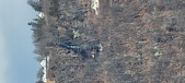 Enlarge photo 196