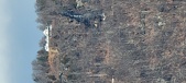 Enlarge photo 198