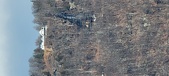 Enlarge photo 199