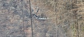 Enlarge photo 201