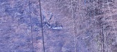 Enlarge photo 205