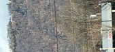 Enlarge photo 204