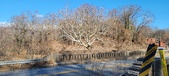 Enlarge photo 207