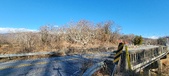 Enlarge photo 208