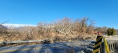 Enlarge photo 211