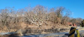 Enlarge photo 212