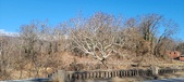 Enlarge photo 213