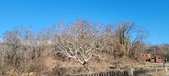 Enlarge photo 214
