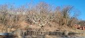 Enlarge photo 215