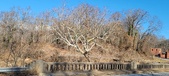 Enlarge photo 216