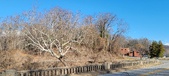 Enlarge photo 217