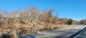 Enlarge photo 218