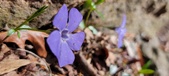 Enlarge photo 25
