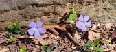 Enlarge photo 26