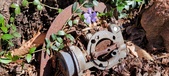 Enlarge photo 29