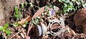 Enlarge photo 30