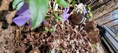 Enlarge photo 31