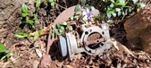 Enlarge photo 33
