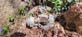 Enlarge photo 40