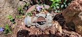 Enlarge photo 39