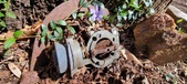 Enlarge photo 38