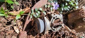 Enlarge photo 41