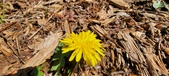 Enlarge photo 42