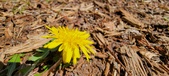 Enlarge photo 43