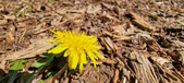 Enlarge photo 45