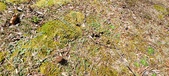 Enlarge photo 46