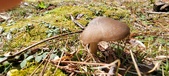 Enlarge photo 48